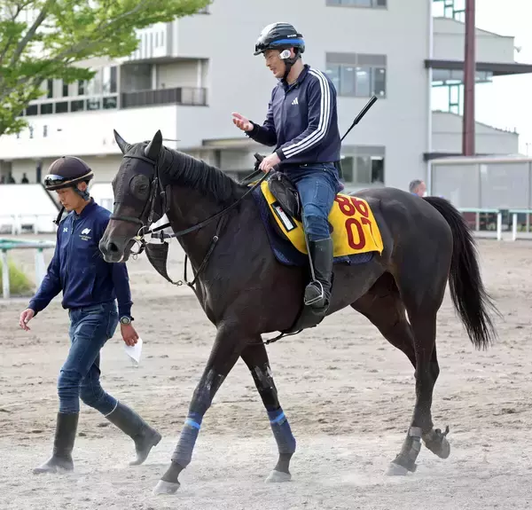 【府中牝馬Ｓ】「ヒヤヒヤする展開」と陣営　前走はゴール直前まで追えずも鮮やかに差し切ったエストゥペンダ