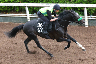 【レパードＳ】メルカントゥールは追うごとに上昇　杉山晴調教師「２週前よりまたひとつ、芯が入った動き」