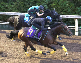 【スプリンターズＳ・１週前】重馬場でも迫力満点のパンジャタワー　橋口調教師「馬体の張り、動きも良くなっています」