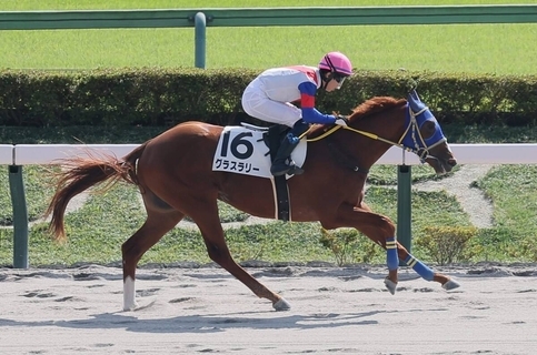 【東京６Ｒ・２歳新馬】７番人気グラスラリーが３番手から最速の末脚でＶ　小林脩斗騎手「競馬が上手」