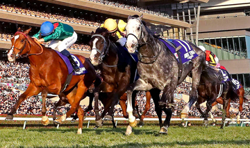 【注目馬動向】ＪＣでカラ馬「先頭ゴール」のアドマイヤテラは有馬記念目標　友道調教師「ファン投票をお願いします」