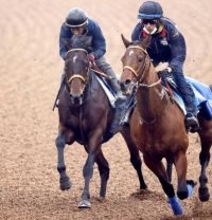 【チャンピオンズＣ】中央Ｇ１初挑戦のルクソールカフェは気配良好　堀調教師「初めての中京でも安心している」