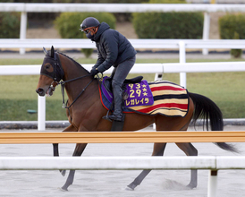 【有馬記念】レガレイラが牝馬で史上初の連覇狙う　武豊騎手と春秋ＧＰ制覇目指すメイショウタバルなど２２頭が登録