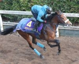 【朝日杯ＦＳ】カヴァレリッツォは５枠８番から逆転を狙う　吉岡調教師「偶数なのは良かったです」