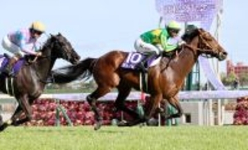 【ＪＲＡ賞授賞式】最優秀スプリンターのサトノレーヴは現役続行で種牡馬入りへ意欲　陣営「もう１年現役を」