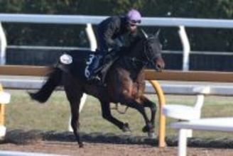 火曜京都競馬場の注目激走馬…京都１１Ｒきさらぎ賞・Ｇ３