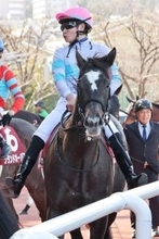 【チューリップ賞】８番人気ナムラコスモスで激走２着も悔やむ田口貫太騎手「ひとタメできれば…」