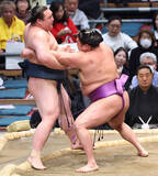 「十両・尊富士が初白星　ＷＢＣをネットで観戦し侍ジャパンの「一体感」に感銘」の画像1