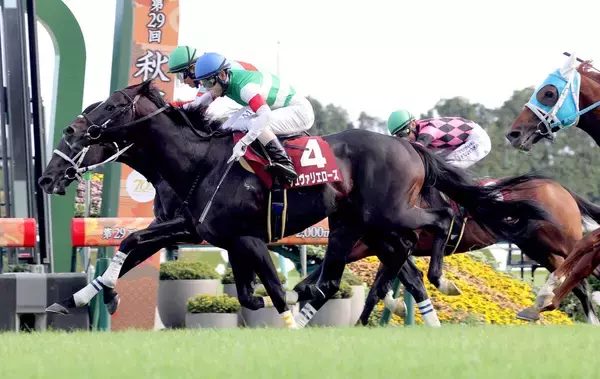 ディープインパクト産駒の現役重賞ウィナーはあと２頭に　シュヴァリエローズが競走馬登録を抹消　京都競馬場で乗馬に