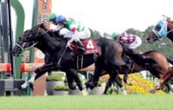 ディープインパクト産駒の現役重賞ウィナーはあと２頭に　シュヴァリエローズが競走馬登録を抹消　京都競馬場で乗馬に