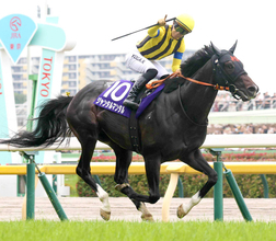 ジャンタルマンタルが電撃引退！種牡馬入りに「必ずやいい子を…」と高野調教師　史上初の牡馬国内芝マイルＧ１完全制覇