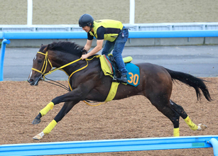【ＰＯＧ】古馬相手に好調教のゴールドテソーロが７・５福島デビュー　高木調教師「いきなりからでも走れそう」