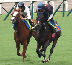 【巴賞】すごい！楽々と引き離した！！出来の良さは一目瞭然　陣営も「今までで一番いい状態」と自信のシルトホルン