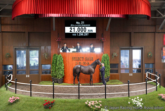 【セレクトセール２０２６】大人気！イクイノックス産駒の牡馬が２億１０００万円で落札　「グリーンバナナズの２０２５」
