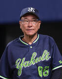 「【ヤクルト】今季３度目の７連敗で９８試合目にして自力優勝の可能性が消滅　池山監督の「燕心全開で」鼓舞実らず」の画像1