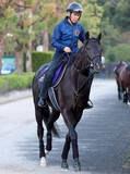 「【注目馬動向】クロワデュノールの秋初戦は天皇賞・秋　父キタサンブラックに続く同一年春秋制覇へ　」の画像1