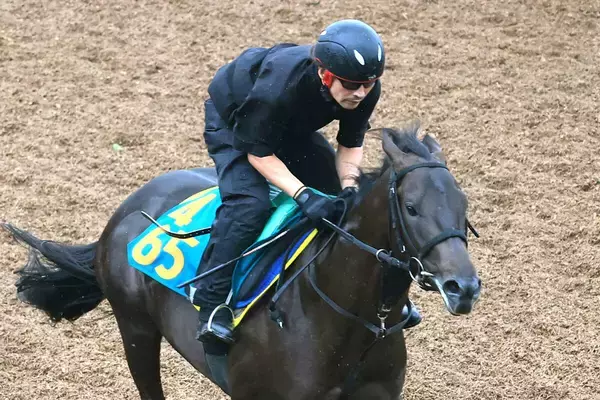【１３日の注目・中山５Ｒ】重賞２勝馬を母に持つスローブギ　ミシェル騎手とともにデビュー戦Ｖへ