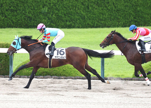 【阪神６Ｒ・２歳新馬】叔父に重賞２勝馬を持つヤマニンガルブが大外強襲Ｖ　田口貫太騎手「最後もすごい脚でした」