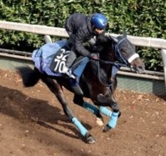 【注目馬動向】京都２歳Ｓの勝ち馬ジャスティンビスタはホープフルＳへ　カヴァレリッツォは朝日杯ＦＳに向かう