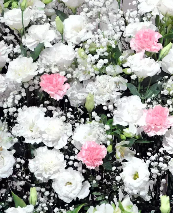 華ゆりさん死去　８０歳、悪性リンパ腫で…サカイ引越センターのＣＭでも話題