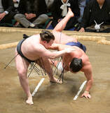 「横綱と大関の番付が逆転したような一番だった　安青錦の新大関Ｖ確率は極めて高い…元大関・琴風の目」の画像1