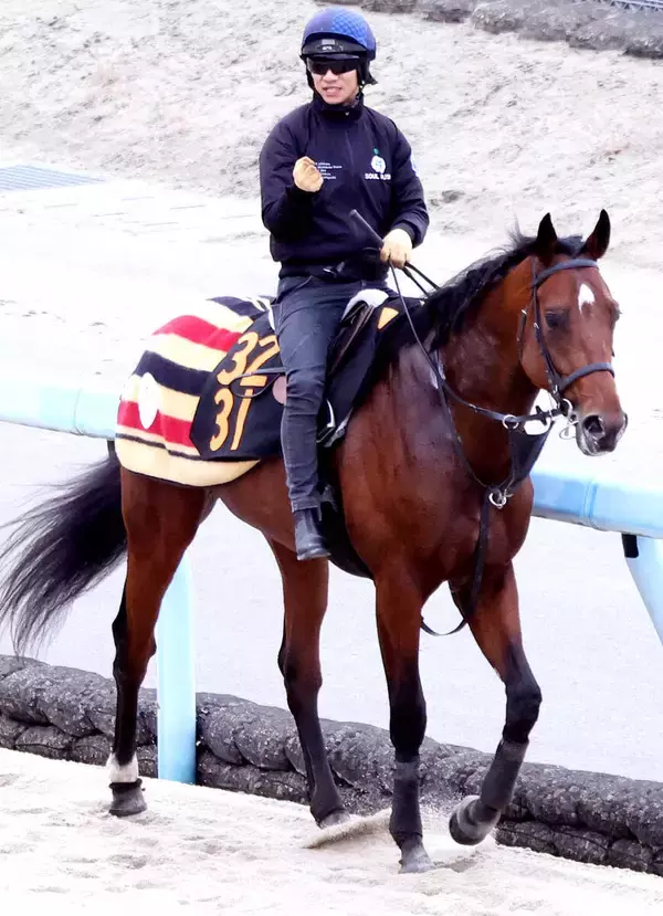 【きさらぎ賞】３歳世代が好成績の上原佑厩舎　ゴーイントゥスカイも栗東滞在で必勝を期す「楽しみの方が大きい」