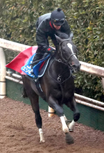 【京都記念】菊花賞２着のエリキングが圧倒的１番人気　骨折明けのヘデントールが２番人気　前日最終オッズ発表