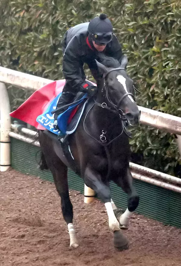 【京都記念】菊花賞２着のエリキングが圧倒的１番人気　骨折明けのヘデントールが２番人気　前日最終オッズ発表