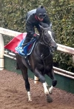 【京都記念】菊花賞２着のエリキングが圧倒的１番人気　骨折明けのヘデントールが２番人気　前日最終オッズ発表