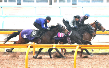 【チューリップ賞】アランカール「取りこぼせない一戦」初コンビの武豊騎手で巻き返す