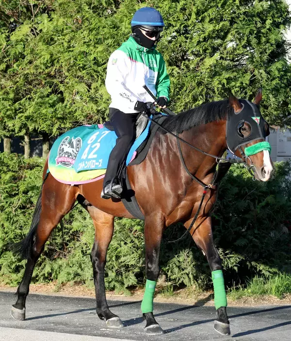 【読売マイラーズＣ】京都マイルはお任せ！エルトンバローズが８枠１７番から復活Ｖ狙う　陣営「動き自体は追い切りで....」