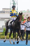 「【函館１Ｒ】いきなり武豊騎手！ロジクラウンで５００１勝目「２着馬も強かったけど...」　イッペイとの馬連は１３０円」の画像1