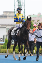 【函館１Ｒ】いきなり武豊騎手！ロジクラウンで５００１勝目「２着馬も強かったけど...」　イッペイとの馬連は１３０円