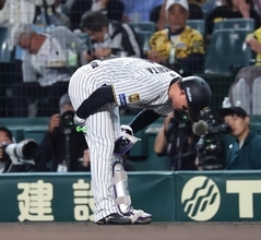 【阪神】大激震！森下翔太が負傷交代…右太もも裏を気にするしぐさ　佐藤輝明に続き絶対的な主軸欠くピンチ