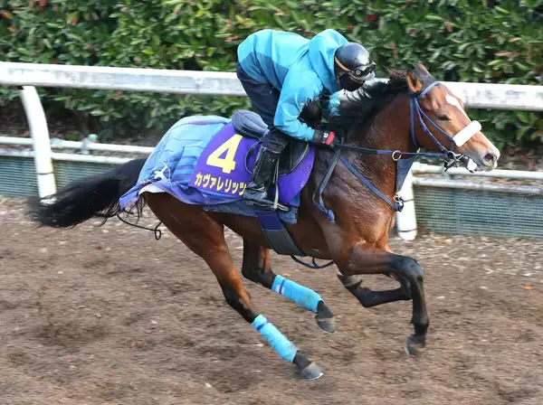 【朝日杯ＦＳ】カヴァレリッツォが坂路で好仕上がりを誇示　吉岡調教師「前走前より落ち着いて走れている」