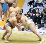 「新大関・安青錦が今年を「７５点」と自己採点　「６場所中１回しかＶしてない」」の画像1