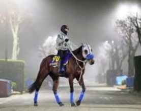 【有馬記念】大一番に向け仕上がりは順調　メイショウタバルが一年を締めくくる　陣営「ハミを抜いて走れていた」