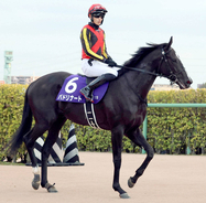 バドリナート 賞を受賞