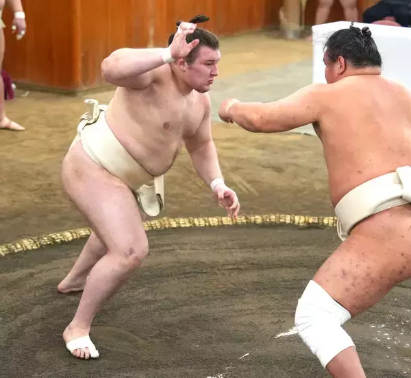 新大関・安青錦が稽古総見で１５番　横綱大関同士の稽古に「今まで味わったことのない雰囲気。参加できて（大関に昇進した）実感が湧いた」