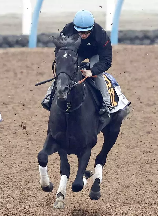 【注目馬動向】ゾロアストロが帰厩　始動戦は報知杯弥生賞ディープインパクト記念などが候補