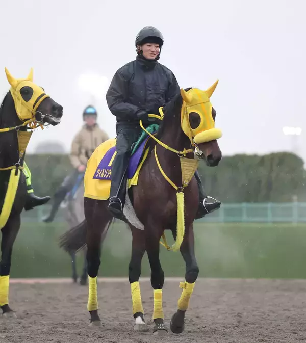 【フェブラリーＳ】ウィルソンテソーロ悲願の中央Ｇ１初勝利へ　高木調教師「どこでも結果を出してくれる」