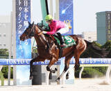 「【大井・新馬戦】西啓太騎手「上積みしかない」新種牡馬ステルヴィオ産駒のグレーヌドスタールが４馬身差快勝」の画像1