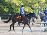 「【オークス】５戦連続上がり最速　ラフターラインズは週末の馬場状態がポイント　小笠調教師「切れ味がある馬なので」」の画像1