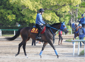 【オークス】５戦連続上がり最速　ラフターラインズは週末の馬場状態がポイント　小笠調教師「切れ味がある馬なので」