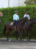 「【日本ダービー】昨年のダービー馬クロワデュノールと豪華併せ馬！　最後まで食い下がったバステールに斉藤崇調教師「しっかり動けていた」」の画像1