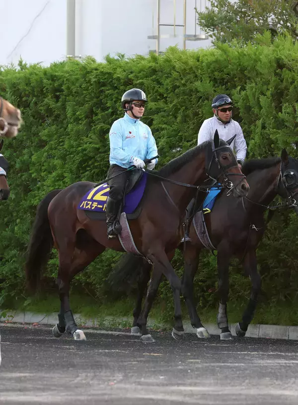【日本ダービー】昨年のダービー馬クロワデュノールと豪華併せ馬！　最後まで食い下がったバステールに斉藤崇調教師「しっかり動けていた」