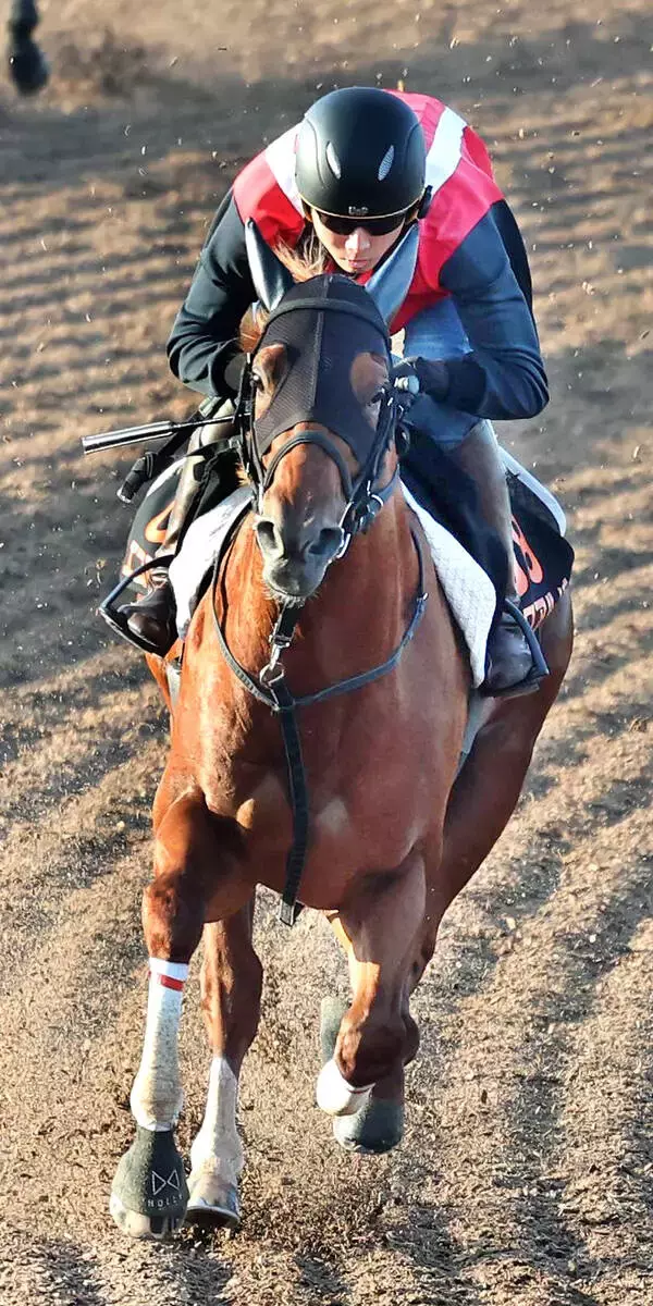 【しらさぎＳ】エコロアルバが単勝３・０倍で１番人気　重馬場での朝日杯ＦＳ４着馬が３連単でも３３番人気タイまで登場