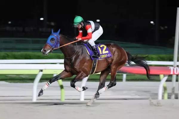 【注目馬動向】ダート２冠のフィンガーは初の海外遠征へ　米Ｇ１のパシフィッククラシックが目標
