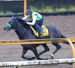 【スワンＳ】武豊騎手とコンビのエリカエクスプレスは初の１４００メートル戦　陣営「ハナにこだわる馬じゃないからね」