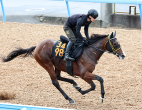 【サウジアラビアＲＣ】阪神連覇にあやかり！ニシノトラノスケが西山オーナーに２週連続の重賞Ｖを届ける